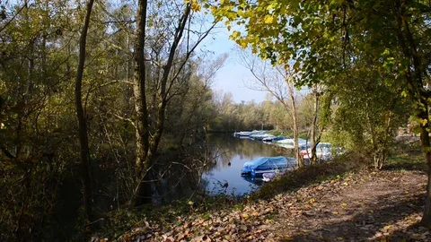 Fall the first leaves in autumn on the path by the river Stock Footage 83888741