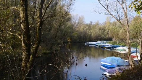 Fall the first leaves in autumn on the path by the river Video stock 83889144