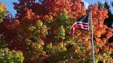FALL FLAG WAVES Stock Footage 181006753