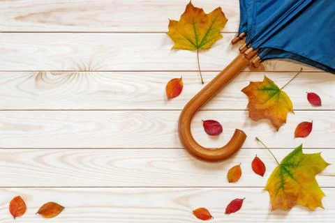 Fall flat lay with leaves and umbrella on wood background Fotos Stock