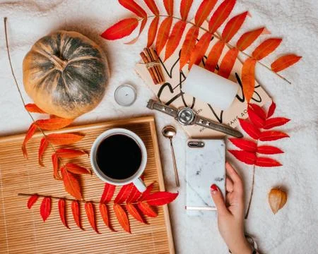 Fall flatlay with coffee Stock Photos