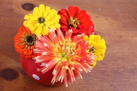 Fall flower arrangement Stock Photos
