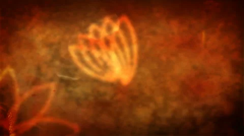Fall Flowers abstract Stock Footage 50788290