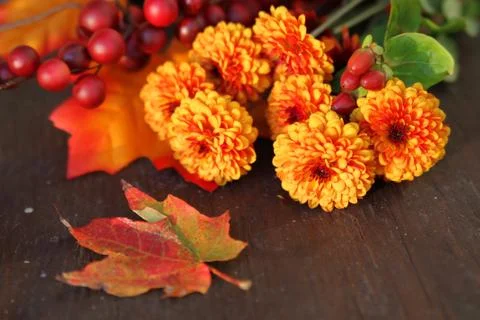 Fall flowers Stock Photos