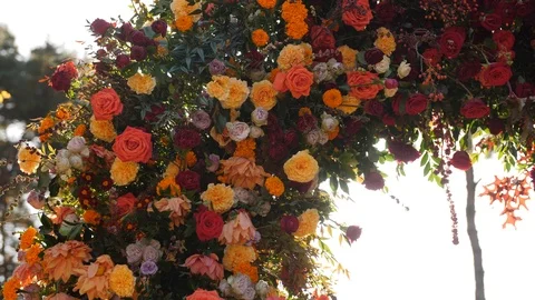 Fall flowers wedding arch with sun peeking through the background Stock Footage 104449618