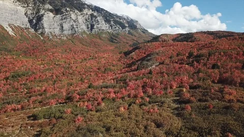 Fall fly over Stock Footage 91553540