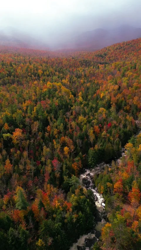 Fall foilage in Upstate New York Stock Footage 253594586