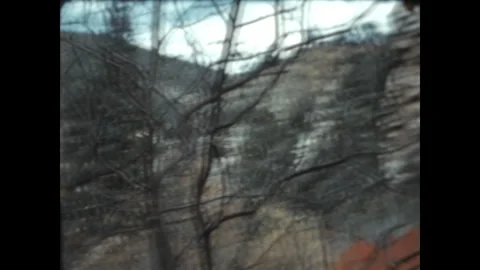 Fall Foliage 1939 Stock Footage 246461476