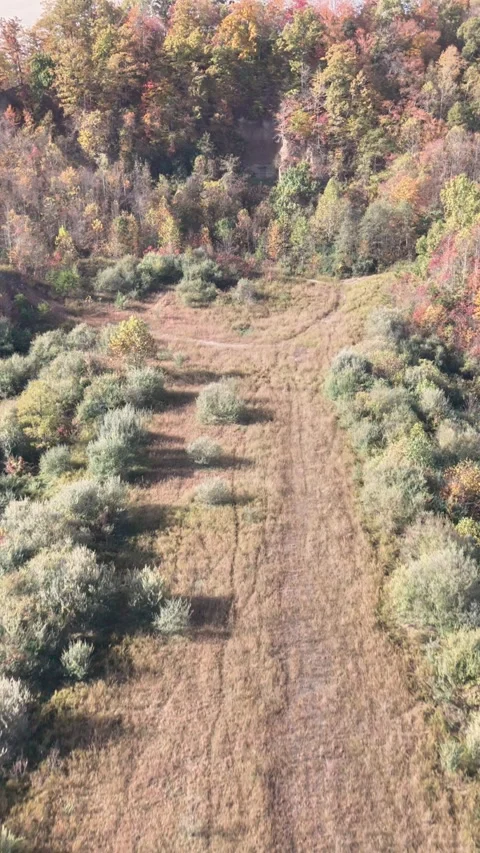 Fall Foliage 2 스톡 동영상 319969772