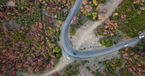 Fall foliage 21 Stock Footage 141144997