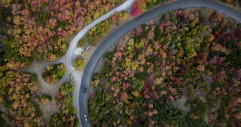 Fall foliage 31 Stock Footage 141131410