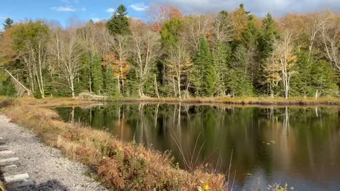 Fall Foliage in Adirondacks Viewed From Rail Peddle Cart Stock Footage 272832736