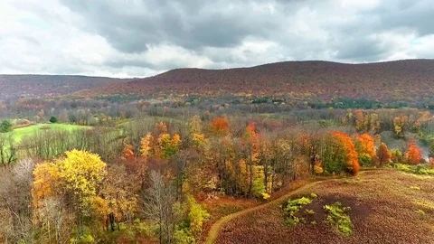 Fall Foliage Aerial Stock-Footage 118866418
