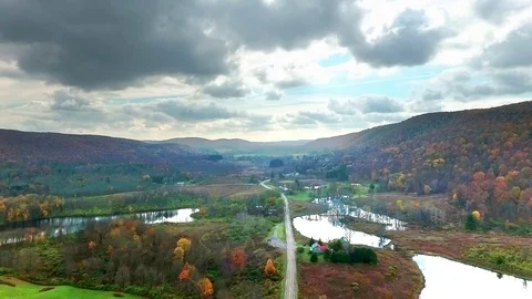 Fall Foliage Aerial Stock-Footage 118921423