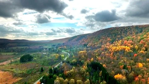 Fall Foliage Aerial Stock-Footage 118921465