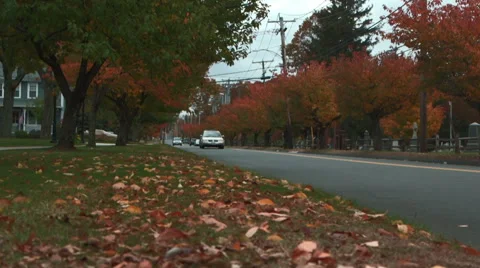 Fall foliage along road in North Haven Stock Footage 44127703