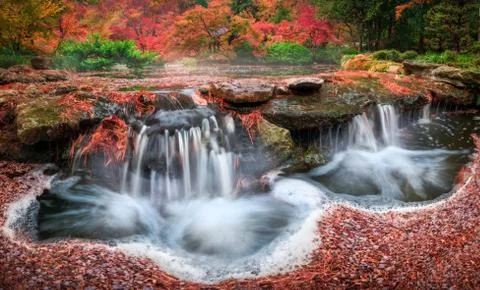 Fall Foliage and a Flowing Stream in the Japanese Garden Stock Photos
