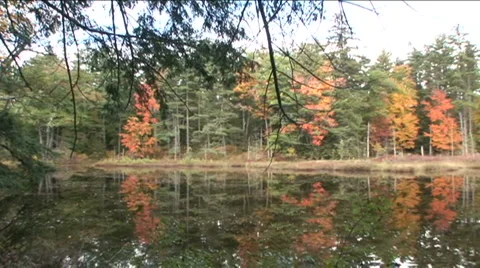 Fall Foliage and Lake Stock Footage 888498