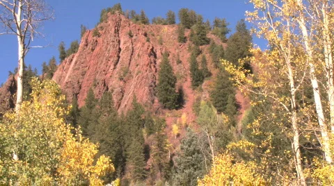 Fall Foliage Autumn in Aspen, Colorado Stock Footage