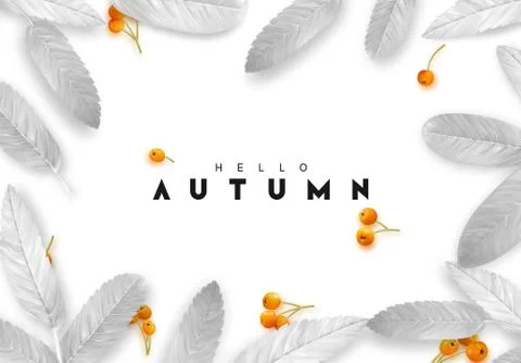 Fall Foliage. Autumn background with silver leaves and realistic rowan berries Stock Illustration