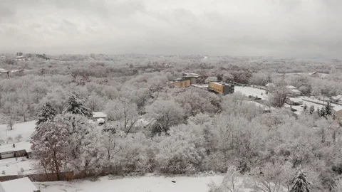 Fall Foliage Blanketed In Ice And Snow Stock Footage 99010249