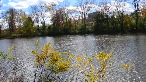 Fall Foliage Blowing Across A River 库存影片 132130363
