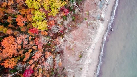 Fall Foliage- Cape George in October Stock Footage 254933381
