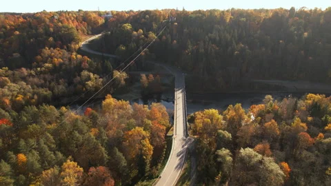 Fall foliage colors along winding road in serene forest landscape Stock Footage 288677908