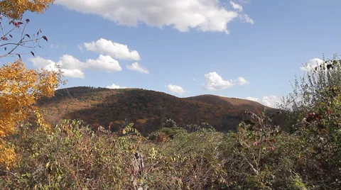 Fall foliage colors on hill with clouds Video stock 36896064