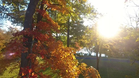 Fall Foliage in Connecticut Stock Footage