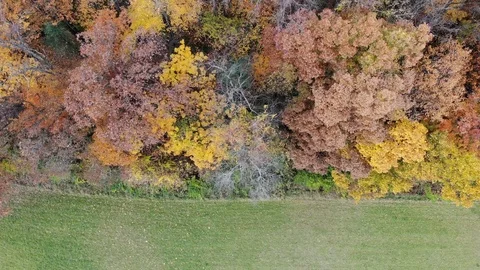 Fall Foliage Drone Flyover Stock Footage