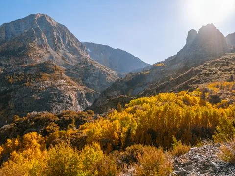 Fall foliage on the east side of Yosemite National Park Stock Photos
