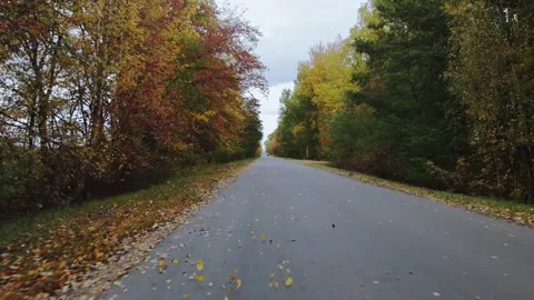 Fall foliage flies out from under wheels, empty road along autumn trees. View Stock Footage 275355102