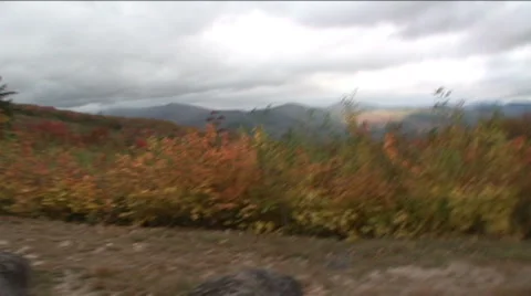 Fall Foliage 스톡 동영상 888500