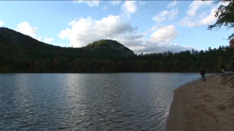 Fall Foliage Video stock 888502