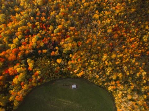 Fall Foliage Forest Edge Stock Photos