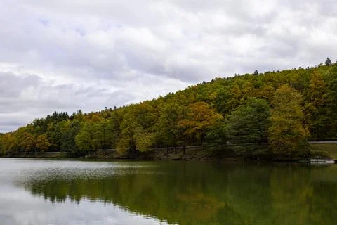 Fall foliage forest reflecting in the still surface of lake water, Beautiful Stock Photos