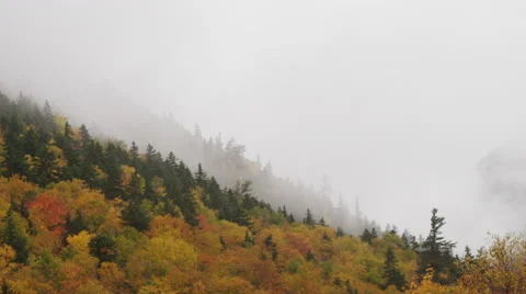 Fall foliage on a forested hillside under a dense fog in New England. Stock Footage 47573655