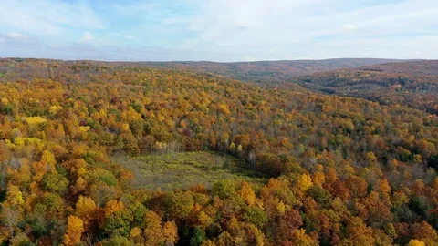 Fall Foliage Honeoye high flyover open plot Video stock 118877715