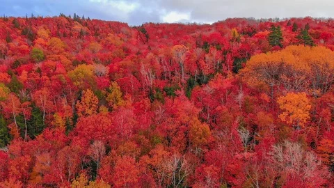 Fall Foliage- Keppoch Mountain in October 스톡 동영상 118333739
