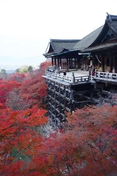 Fall foliage in kyoto Stock Photos