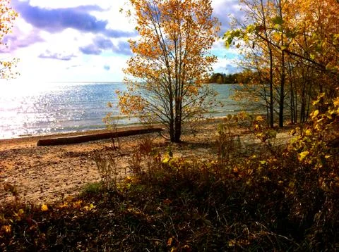 Fall foliage by the lake Stock Photos
