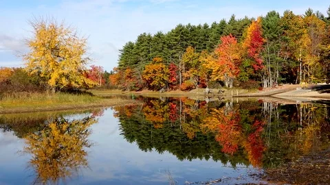 Fall Foliage Lake Reflection Maine Stock Footage 70220298