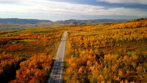 Fall foliage at Monte Cristo overlook in Utah. Stock Footage 205922273
