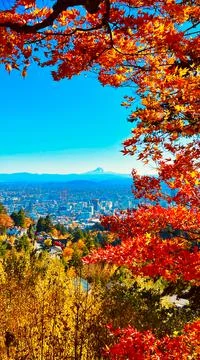 Fall foliage, mountain, sky, and mountain - Mt. Hood and Portland Stock Photos