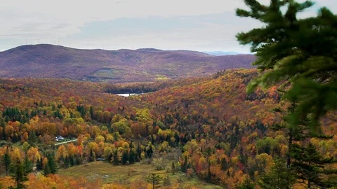 Fall foliage mountains 動画素材 118462891