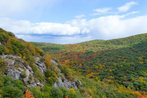 Fall foliage Stock Photos