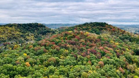 Fall foliage, Stock Photos