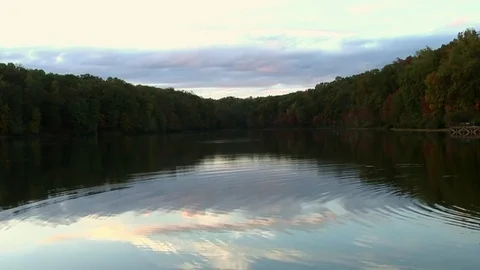 Fall foliage pier over pond Video stock 81605691