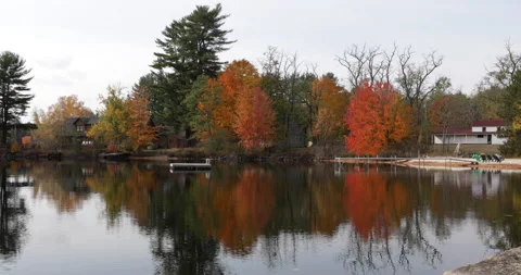Fall Foliage reflecting on a lake. Stock Footage 148163105